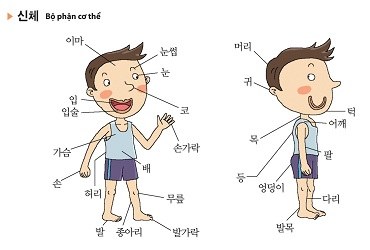 Từ vựng về sức khỏe trong tiếng Hàn