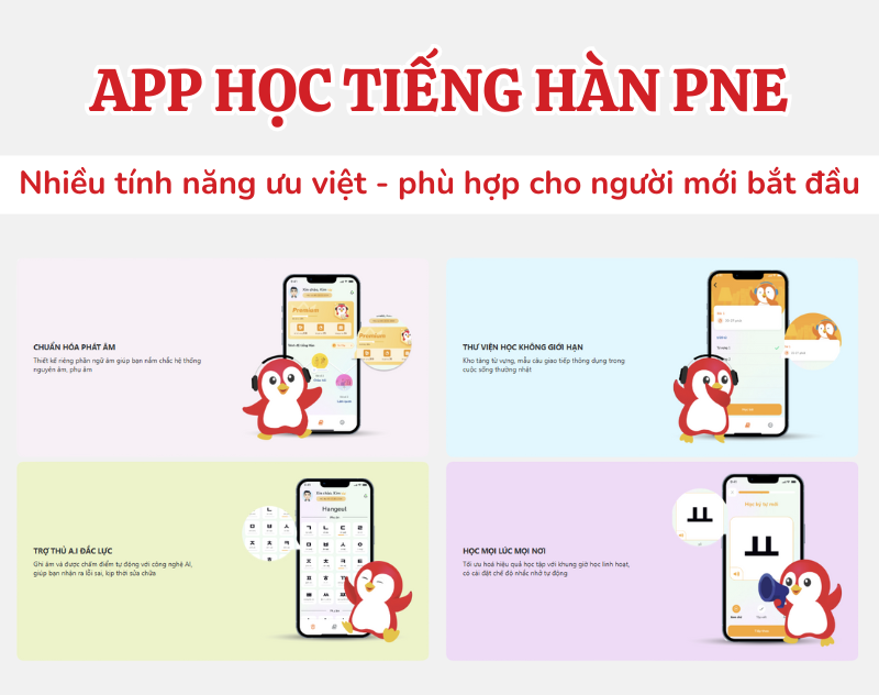 app-hoc-tieng-han-pne-duoc-phat-trien-boi-phuong-nam-education